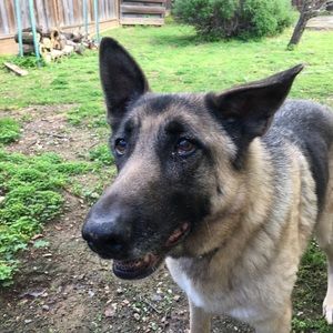 Meet your Posher, Joan